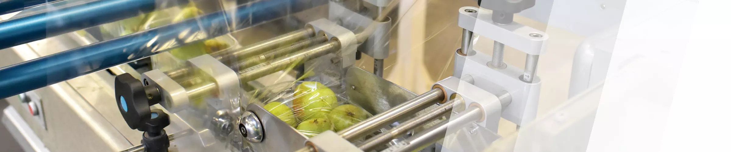 Verpackungsmaschine für Obst